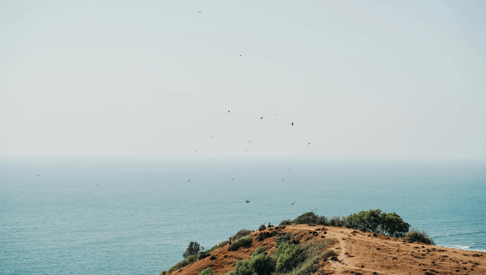 A coastal cliff view with the sea stretching towards the horizon.